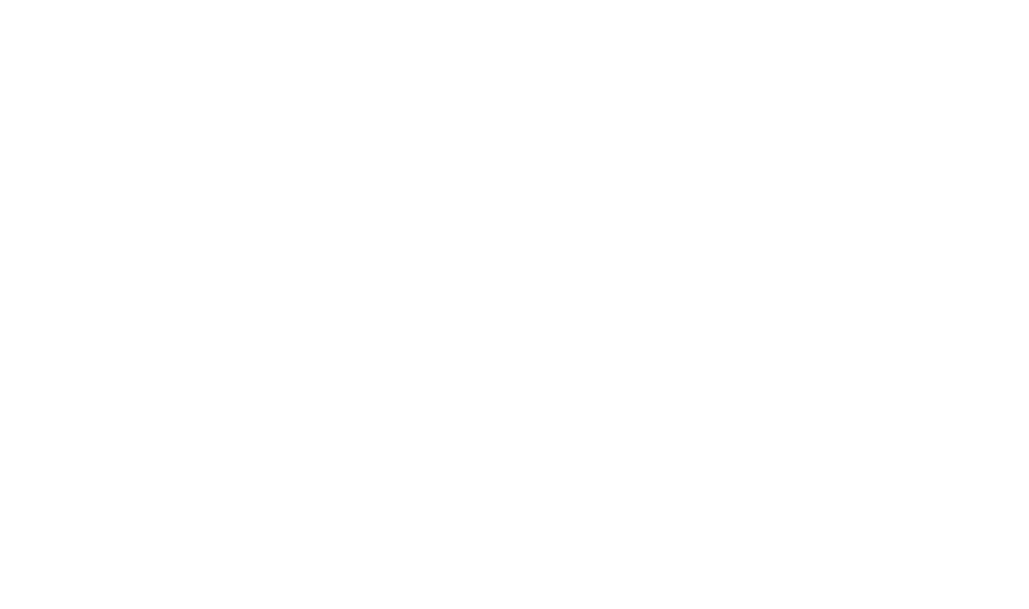 Industrial Bravo Project LLC